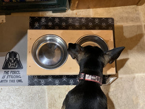 Raised Dog Feeding Dish 6.5"